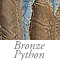 Bronze Python
