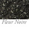 Fleur Noire