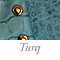 Turq Stud
